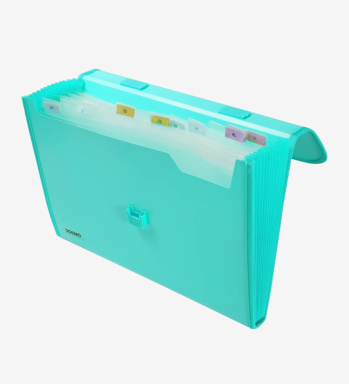 12-Pocket Expanding File Folder with Handle and Buckle Closure - Green | A4 Size Document Organizer